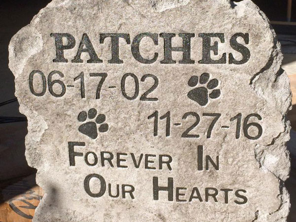 Pet Memorial